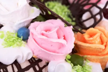 Administration und Ansprechpartner für Sie