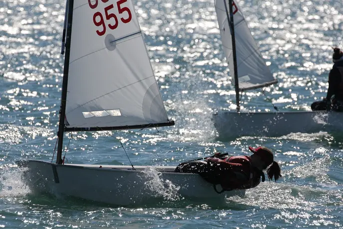 Opti Regatta Opti Regatta